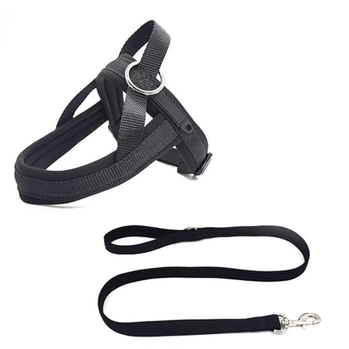 Step-in-Hundegeschirr und Leine-Set, Weiches Netzgewebe, Nicht Klemmend, Reflektierend, Atmungsaktiv, Leicht zu Begehen, Ausbruchsichere Westengeschirre mit,B-XSmall Step-in-Hundegeschirr und Leine-Set, Weiches Netzgewebe, Nicht Klemmend, Reflektierend, Atmungsaktiv, Leicht zu Begehen, Ausbruchsichere Westengeschirre mit,B-XSmall von OYWEHECE