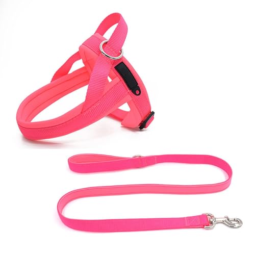 Step-in-Hundegeschirr und Leine-Set, Weiches Netzgewebe, Nicht Klemmend, Reflektierend, Atmungsaktiv, Leicht zu Begehen, Ausbruchsichere Westengeschirre mit,C-Large Step-in-Hundegeschirr und Leine-Set, Weiches Netzgewebe, Nicht Klemmend, Reflektierend, Atmungsaktiv, Leicht zu Begehen, Ausbruchsichere Westengeschirre mit,C-Large von OYWEHECE