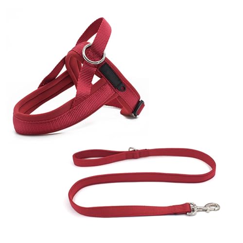 Step-in-Hundegeschirr und Leine-Set, Weiches Netzgewebe, Nicht Klemmend, Reflektierend, Atmungsaktiv, Leicht zu Begehen, Ausbruchsichere Westengeschirre mit,D-XSmall Step-in-Hundegeschirr und Leine-Set, Weiches Netzgewebe, Nicht Klemmend, Reflektierend, Atmungsaktiv, Leicht zu Begehen, Ausbruchsichere Westengeschirre mit,D-XSmall von OYWEHECE