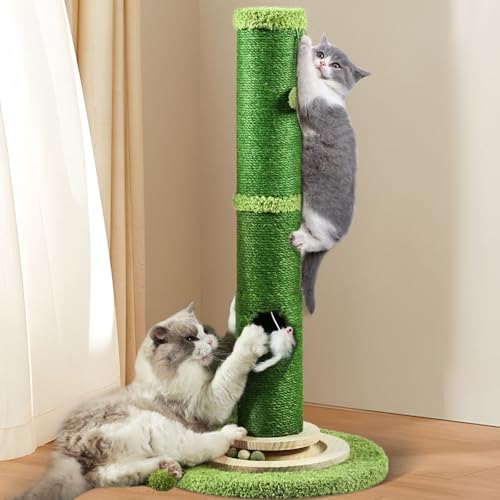 OYX Kratzbäume für Indoor-Katzen Erwachsene, 80,8 cm hoher Katzenkratzbaum, unteres Mausloch und interaktive Ballbahn, oben hängender interaktiver Ball für große Katzen, Kätzchen und alle Arten von OYX Kratzbäume für Indoor-Katzen Erwachsene, 80,8 cm hoher Katzenkratzbaum, unteres Mausloch und interaktive Ballbahn, oben hängender interaktiver Ball für große Katzen, Kätzchen und alle Arten von von OYX