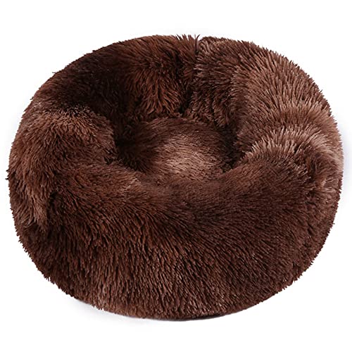 OYhmc Indoor Katzenbett, waschbar flauschig rundes Haustierbett rutschfest, beruhigend weich Plüsch Donut Kuschelkissen für kleine Hunde und Kätzchen Selbsterwärmung OYhmc Indoor Katzenbett, waschbar flauschig rundes Haustierbett rutschfest, beruhigend weich Plüsch Donut Kuschelkissen für kleine Hunde und Kätzchen Selbsterwärmung von OYhmc