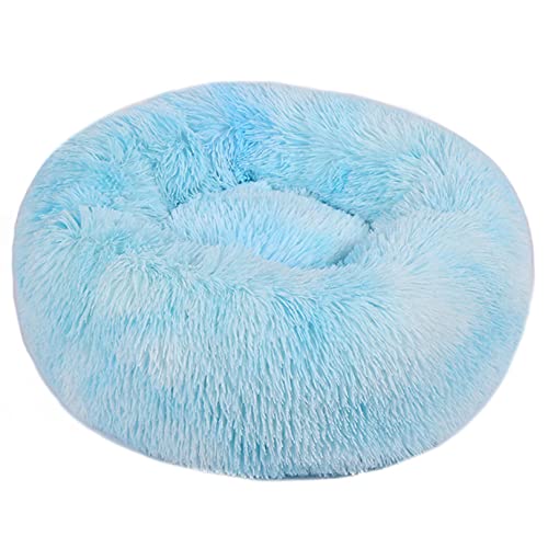 OYhmc Indoor Katzenbett, waschbar flauschig rundes Haustierbett rutschfest, beruhigend weich Plüsch Donut Kuschelkissen für kleine Hunde und Kätzchen Selbsterwärmung OYhmc Indoor Katzenbett, waschbar flauschig rundes Haustierbett rutschfest, beruhigend weich Plüsch Donut Kuschelkissen für kleine Hunde und Kätzchen Selbsterwärmung von OYhmc
