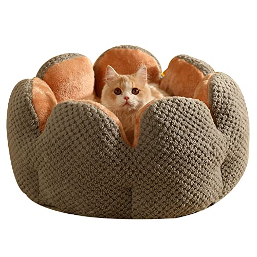 OYhmc Katzenbett Hundebett Waschbare Haustierbett, Kaktus Blütenblatt Form Katzenbett Sofa, niedliche Plüsch Haustier Nest für Welpen und Katzen OYhmc Katzenbett Hundebett Waschbare Haustierbett, Kaktus Blütenblatt Form Katzenbett Sofa, niedliche Plüsch Haustier Nest für Welpen und Katzen von OYhmc