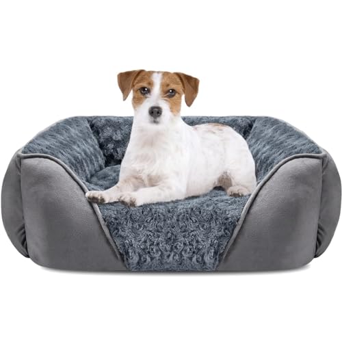 Four Seasons Zwinger Sommer-Haustiernest, zerlegbar, großes Hundebett, kleine Hundehütte, Katzenhaus Four Seasons Zwinger Sommer-Haustiernest, zerlegbar, großes Hundebett, kleine Hundehütte, Katzenhaus von OZLMBERN