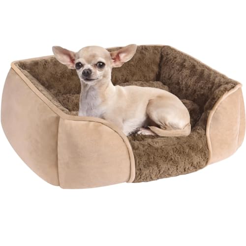 Four Seasons Zwinger Sommer-Haustiernest, zerlegbar, großes Hundebett, kleine Hundehütte, Katzenhaus Four Seasons Zwinger Sommer-Haustiernest, zerlegbar, großes Hundebett, kleine Hundehütte, Katzenhaus von OZLMBERN