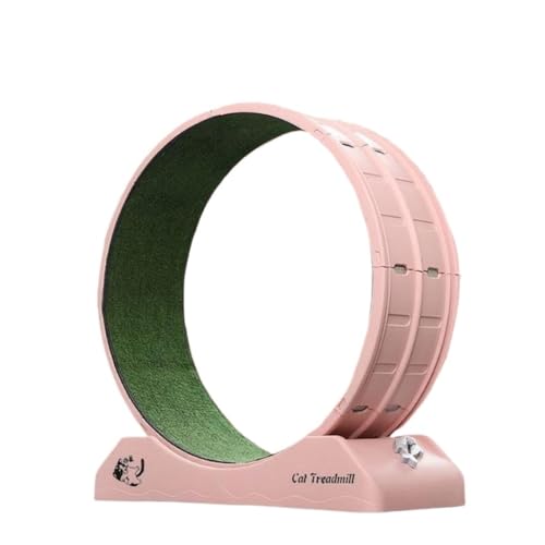 Katzenlaufrad Laufband For Katzen, Leise, Roller, For Die Gewichtsabnahme Bei Katzen, Haustierspielzeug, Rad, Klettergerüst For Katzen, Fitness-Laufrad For Kleine Haustiere Katzenlaufrad für den Lnnen Katzenlaufrad Laufband For Katzen, Leise, Roller, For Die Gewichtsabnahme Bei Katzen, Haustierspielzeug, Rad, Klettergerüst For Katzen, Fitness-Laufrad For Kleine Haustiere Katzenlaufrad für den Lnnen von OZWYCY