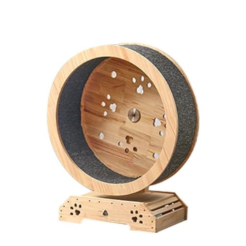 OZWYCY Katzenlaufrad Laufband for Katzen, Laufband for Katzen, Trainingslaufband, Zubehör for Holzbretter, Kratzbrett for Haustiere Katzenlaufrad für den Lnnenbereich(60cm) von OZWYCY