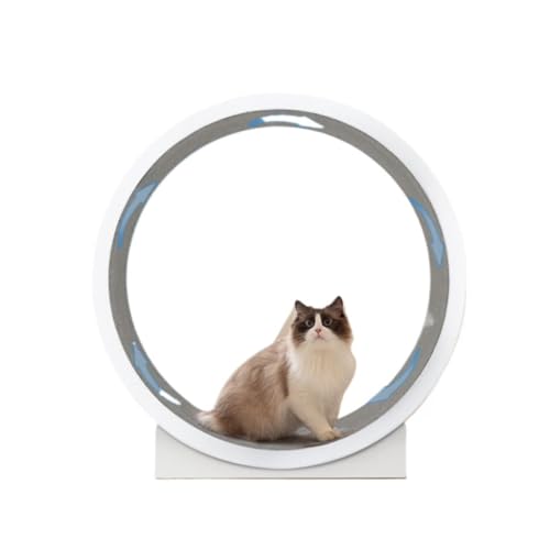 OZWYCY Katzenlaufrad Laufband for Katzensport, 1,2 Meter, großer Durchmesser, Rollen-Klettergerüst for Katzen, großes Sport-Laufrad for Katzen Katzenlaufrad für den Lnnenbereich OZWYCY Katzenlaufrad Laufband for Katzensport, 1,2 Meter, großer Durchmesser, Rollen-Klettergerüst for Katzen, großes Sport-Laufrad for Katzen Katzenlaufrad für den Lnnenbereich von OZWYCY