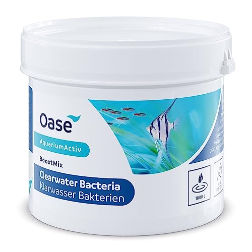 Oase BoostMix Klarwasser Bakterien 250 g - Abbau von Mulm, konzentrierte Mikroorganismen, für Süßwasseraquarium von Oase
