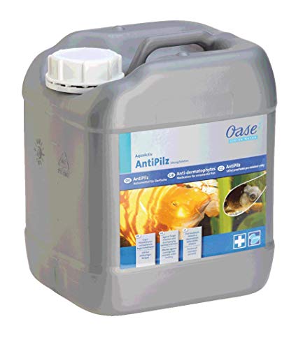 OASE 50929 AquaActiv AntiPilz 5 l von Oase