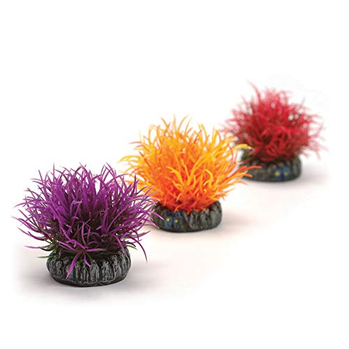 biOrb 46061 Gewächsball Set 3, bunt - künstliche Natur-Blumenbälle als Pflanzen-Deko für Salzwasseraquarien und Süßwasseraquarien von biOrb