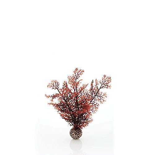 biOrb 46069 Hornkoralle S dunkelrot - kleine Aquariendekoration | naturnahe künstliche Koralle aus Kunststoff | Aquariendekoration |leichte Reinigung | für Süßwasser und Meerwasser von biOrb