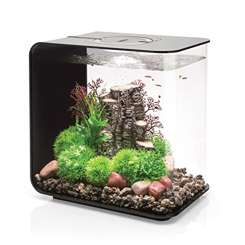 biOrb 72033 FLOW 30 LED, schwarz – elegantes Design-Aquarium | Komplett-Set mit Filter-System, LED-Beleuchtung, Boden-Kies und Luftausströmer aus widerstandsfähigem Acryl-Glas von biOrb
