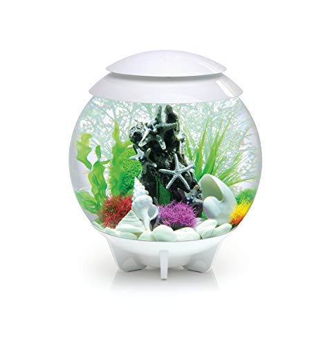 biOrb 72040 HALO 30 LED weiß - dekoratives Aquarium-Komplett-Set mit Filter-System, LED-Beleuchtung und Keramik-Kies aus robustem Acryl-Glas von biOrb