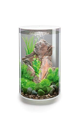 biOrb 72067 TUBE 30 LED, weiß (30 L) - 360-Grad Deko-Aquarium | Komplett-Set aus Acryl-Glas mit LED-Beleuchtung, Filter-System und Boden-Keramik von biOrb