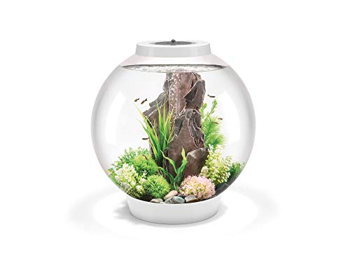 biOrb 72013 CLASSIC 60 LED, 60 L, weiß - Acryl-Aquarium in Kugelform, Komplett-Set mit patentiertem Filtersystem, LED-Beleuchtung von biOrb