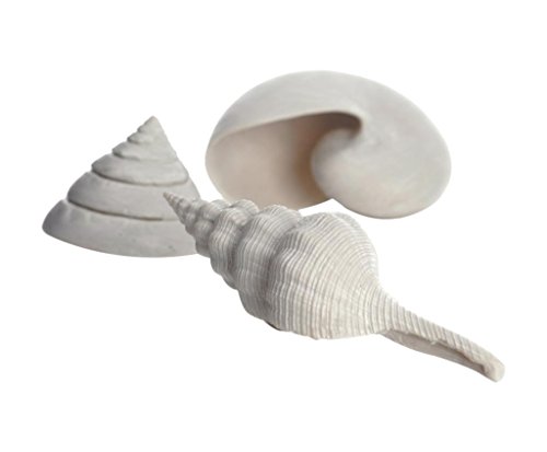 biOrb 46133 Muschel Set 3 weiß - kompakte Keramik-Muscheln im 3er-Set zur Dekoration von Süßwasseraquarium und Meerwasseraquarium von biOrb