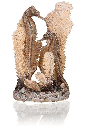 biOrb 55038 Seepferdchen natural S - Kleine Seepferdchen-Skulptur mit Korallen zur individuellen Gestaltung von Süßwasseraquarien und Meerwasseraquarien von Oase