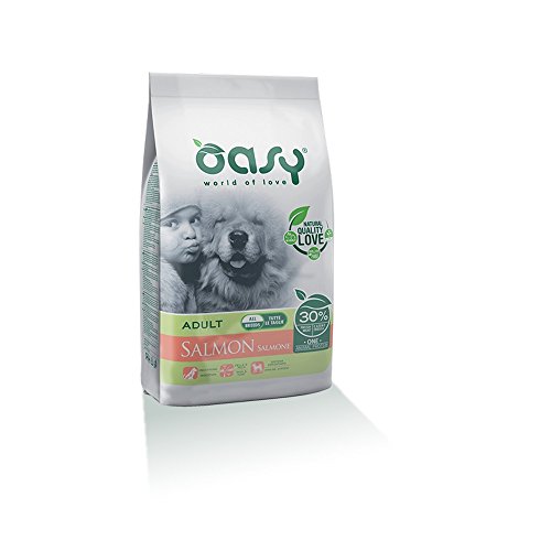 Oasy One Protein Trockener Hund mit Lachs 12 kg von Oasy