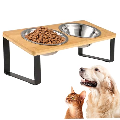 Erhöhte Hundeschalen, 250 ml Edelstahl Erhöhte Katzenschalen mit 15 ° gekipptem Ständer, Katzenschüssel, Haustier -Fütterungsstation für Nahrung und Wasser Erhöhte Hundeschalen, 250 ml Edelstahl Erhöhte Katzenschalen mit 15 ° gekipptem Ständer, Katzenschüssel, Haustier -Fütterungsstation für Nahrung und Wasser von Obelunrp