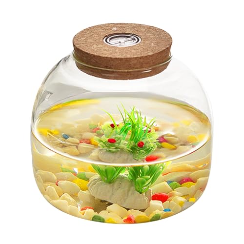 Glas Terrariumglas, 1600 ml großes Eröffnungspflanzen -Terrarium mit Korkdeck Glas Terrariumglas, 1600 ml großes Eröffnungspflanzen -Terrarium mit Korkdeck von Obelunrp