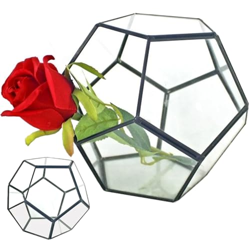 Glaspflanzenterrarium, 7, 1x7.1x5, 5 '' Schweißpentagon Glass -Terrarium mit Tür, geometrisch für Farn Sukkulenten Pflanzen schwarz, Pflanze von Obelunrp