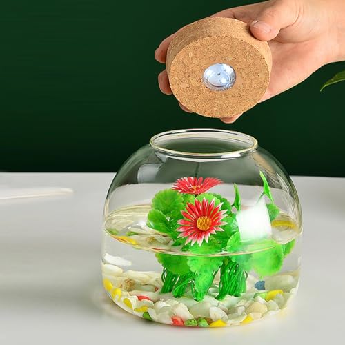 Glasterrarium für Pflanzen, 1600 ml Pflanzen -Terrarium mit Korkdeck von Obelunrp
