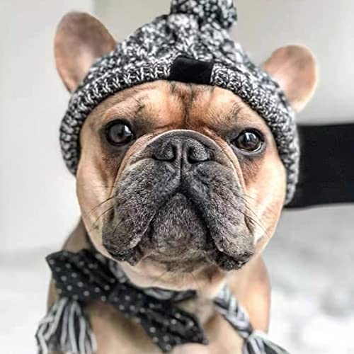 Hundegestrickter Hut Winter Warmer Windschutzhundkappe mit Pom Pom Ohrlöchern Quasten, Hund Winterhut, Hund gestrickt Hundegestrickter Hut Winter Warmer Windschutzhundkappe mit Pom Pom Ohrlöchern Quasten, Hund Winterhut, Hund gestrickt von Obelunrp