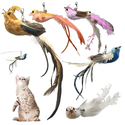 Katzenfedern Spielzeug nachfüllen 5pcs Brid Form Katzenstab Spielzeug Nachfüllung Süßes fliegende Vogelkatze Spielzeugbefindungen mit glocken interaktiven Katzenspielzeug für Innenkatzen spielen und Katzenfedern Spielzeug nachfüllen 5pcs Brid Form Katzenstab Spielzeug Nachfüllung Süßes fliegende Vogelkatze Spielzeugbefindungen mit glocken interaktiven Katzenspielzeug für Innenkatzen spielen und von Obelunrp
