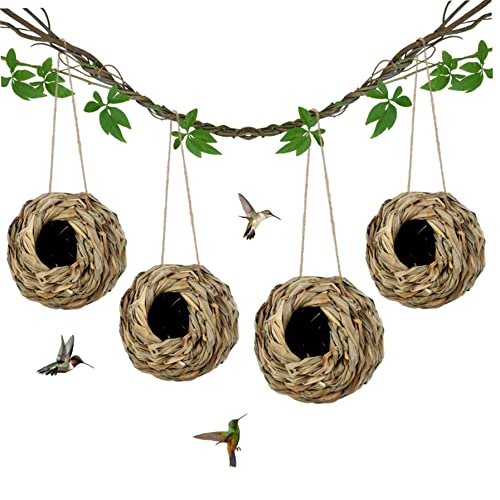 Vogelnest, 4pcs Gras gewebte Kugelform hängende Kolibri -Nest -Haus, handgefertigtes Kolibri -Nest für die Fenstergartendekoration (14x14x6cm) von Obelunrp