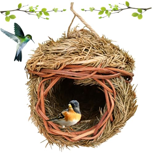 Obelunrp Vogelnistkiste, Hummingbird House 5,5 x 5,5 Zoll Cedar gewebtes Vogelhaus außerhalb des Hängenden Vogelschachtels mit Hängenden Obelunrp Vogelnistkiste, Hummingbird House 5,5 x 5,5 Zoll Cedar gewebtes Vogelhaus außerhalb des Hängenden Vogelschachtels mit Hängenden von Obelunrp