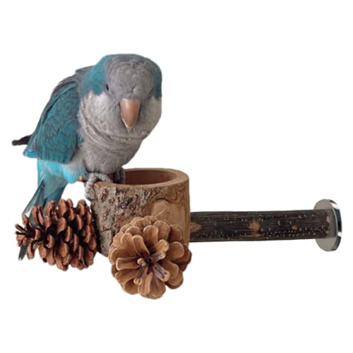 Holzbarsch für - Lebensmittelplattform für Vogelkäfig, natürliche Holzspielbasis | Robuste Feeder mit Schalen, Anreicherungsunterstützung für Calopsitte, Perruc -Sachposten Holzbarsch für - Lebensmittelplattform für Vogelkäfig, natürliche Holzspielbasis | Robuste Feeder mit Schalen, Anreicherungsunterstützung für Calopsitte, Perruc -Sachposten von Obesntln