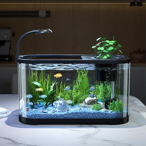 Aquarium Starter Kits, Anfänger Fischtank, Goldfisch Aquarium Einsteigerset, Dekoratives Schreibtischbecken Für Kampffisch, Aquarium Mit Filtersystem Und LED Licht Aquarium Starter Kits, Anfänger Fischtank, Goldfisch Aquarium Einsteigerset, Dekoratives Schreibtischbecken Für Kampffisch, Aquarium Mit Filtersystem Und LED Licht von Ocastuted