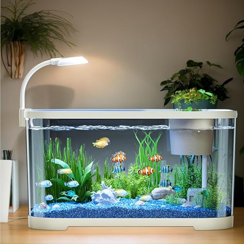 Aquarium Starter Kits, Anfänger Fischtank, Goldfisch Aquarium Einsteigerset, Dekoratives Schreibtischbecken Für Kampffisch, Aquarium Mit Filtersystem Und LED Licht Aquarium Starter Kits, Anfänger Fischtank, Goldfisch Aquarium Einsteigerset, Dekoratives Schreibtischbecken Für Kampffisch, Aquarium Mit Filtersystem Und LED Licht von Ocastuted