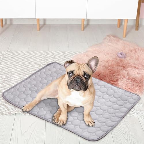 Ocastuted Kühlmatte Für Hunde, Kühlmatte Für Hunde Selbstkühlend, Pfotenfrost Matte Für Katzen Hund, Haustier Hund Katzeneis Ice Seidenkaltes Nistpolster, Kühldecke Katzen Ocastuted Kühlmatte Für Hunde, Kühlmatte Für Hunde Selbstkühlend, Pfotenfrost Matte Für Katzen Hund, Haustier Hund Katzeneis Ice Seidenkaltes Nistpolster, Kühldecke Katzen von Ocastuted