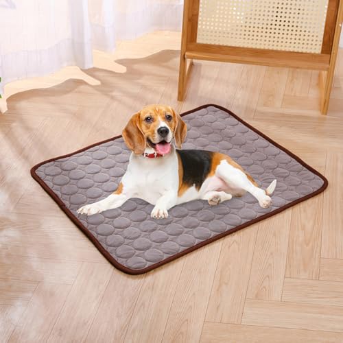 Ocastuted Kühlmatte Für Hunde, Kühlmatte Für Hunde Selbstkühlend, Pfotenfrost Matte Für Katzen Hund, Haustier Hund Katzeneis Ice Seidenkaltes Nistpolster, Kühldecke Katzen von Ocastuted