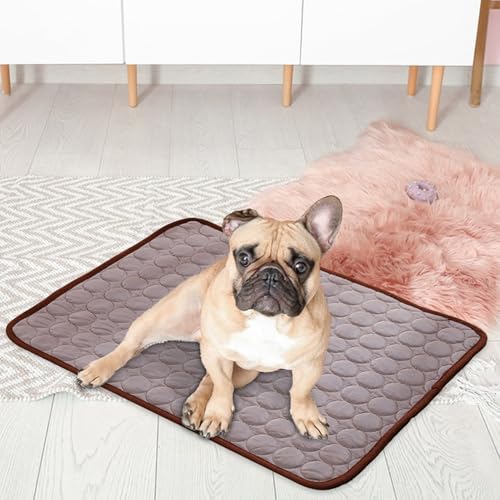 Ocastuted Kühlmatte Für Hunde, Kühlmatte Für Hunde Selbstkühlend, Pfotenfrost Matte Für Katzen Hund, Haustier Hund Katzeneis Ice Seidenkaltes Nistpolster, Kühldecke Katzen von Ocastuted