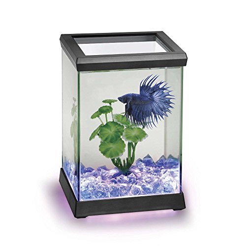 Ocean Free AT619A Kit Betta Space LED, Schwarz von Ocean Free