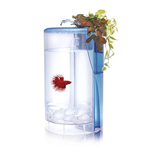 Ocean Free AT620A Betta Flora LED-Set, Weiß, mit Hydrokultursystem, 2 Liter von Ocean Free