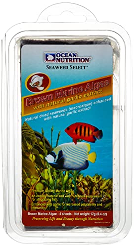 Meeresalgen für Fisch, 12 g, Braun von Ocean Nutrition