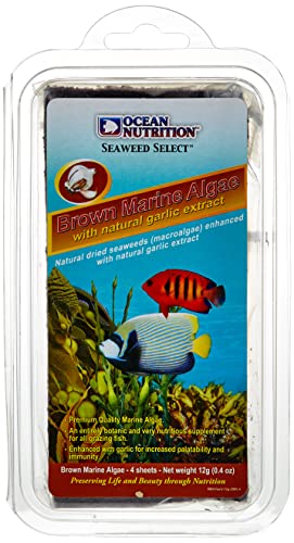 OCEAN NUTRITION Braune Algen mit Knoblauch. Eine optimale Nahrung für alle Arten von Doktor-, Kaiser- und Lippfische sowie Riff- und Korallenbarsche und einige Falterfischarten von Ocean Nutrition