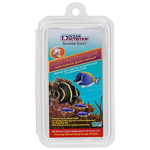 OCEAN NUTRITION Rote Algen mit Knoblauch.Sehr gute Nahrungsquelle und natürlicher Farbverstärker für Riff- und Korallenbarsche, kleine Kaiserfische, Schwammfresser. von Ocean Nutrition