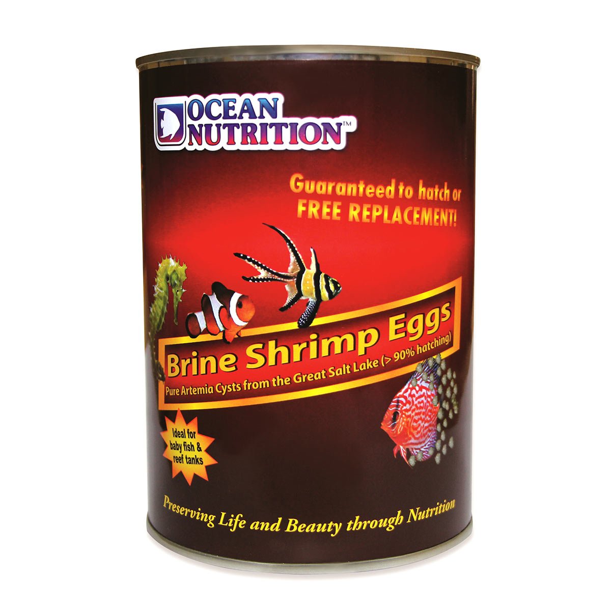 Ocean Nutrition Artemia/Brine Shrimp Eggs 454g Ocean Nutrition Artemia/Brine Shrimp Eggs 454g von Ocean Nutrition
