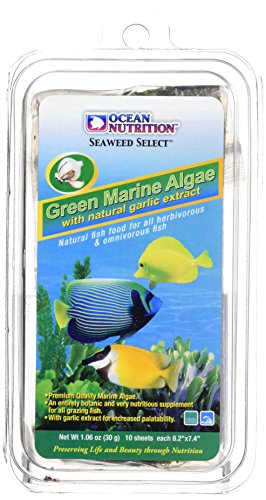 Ocean Nutrition Meeresalgen für Fische, 30 g, Grün von Ocean Nutrition