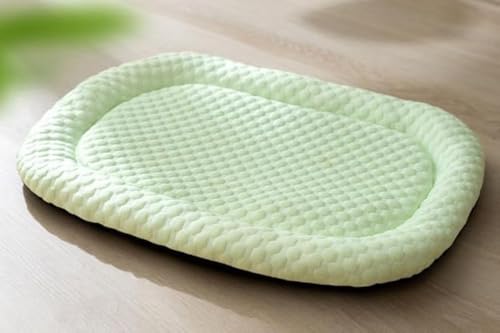 OceanEagle Haustier-Kühlmatte für Katzen und kleine Hunde, selbstkühlender Stoff, leicht, weich und bequem, auslaufsicher, waschbar, gemütliche Schlafmatte, für drinnen und draußen (Hellgrün, Groß) OceanEagle Haustier-Kühlmatte für Katzen und kleine Hunde, selbstkühlender Stoff, leicht, weich und bequem, auslaufsicher, waschbar, gemütliche Schlafmatte, für drinnen und draußen (Hellgrün, Groß) von OceanEagle
