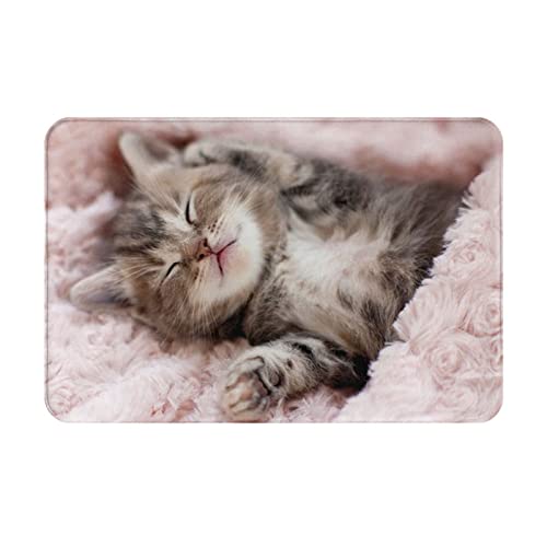 Fußmatte mit schlafender Katze, rutschfest, 40,6 x 61 cm, für den Innen- und Außenbereich von Ocelio