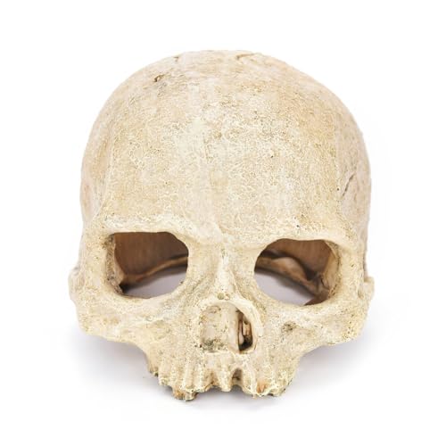 Aquarium-Terrarium, Totenkopf-Dekoration, Reptilienversteck, Höhle für Geckos, Spinne, Eidechse, Schlange, Aquarium, Höhle, Haus, Verstecke, Steine für kleine Fische, Garnelen, Betta, Krabben, Guppy, Aquarium-Terrarium, Totenkopf-Dekoration, Reptilienversteck, Höhle für Geckos, Spinne, Eidechse, Schlange, Aquarium, Höhle, Haus, Verstecke, Steine für kleine Fische, Garnelen, Betta, Krabben, Guppy, von Odebyata