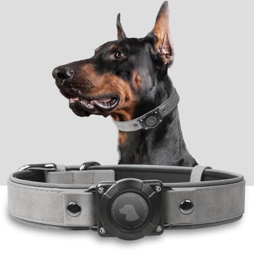 AirTag Hundehalsband – Hundehalsband aus Leder mit Airtag-Halterung | IPX8 wasserdicht, reflektierend, hochendig, verstellbar, weich gepolstert | GPS-Tracker-Halsbänder für mittelgroße und große Hunde AirTag Hundehalsband – Hundehalsband aus Leder mit Airtag-Halterung | IPX8 wasserdicht, reflektierend, hochendig, verstellbar, weich gepolstert | GPS-Tracker-Halsbänder für mittelgroße und große Hunde von Odokele