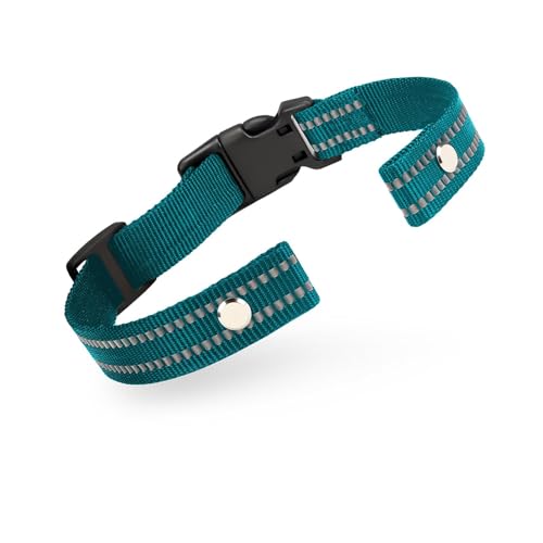 Reflektierendes Halsband-Ersatzband, Grün von Odokele