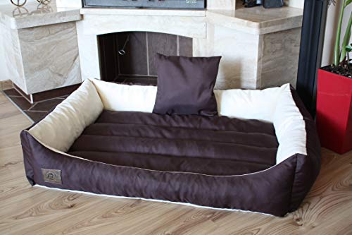 Odol-Plu XXL - Hundebett - Hundekissen - Hundesofa mit Wendekissen (Größe und Farbe wählbar) (120x90 braun-beige) von Odol-Plu